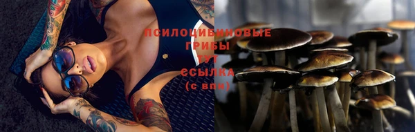 МДПВ Аркадак