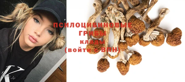 дурь Армянск